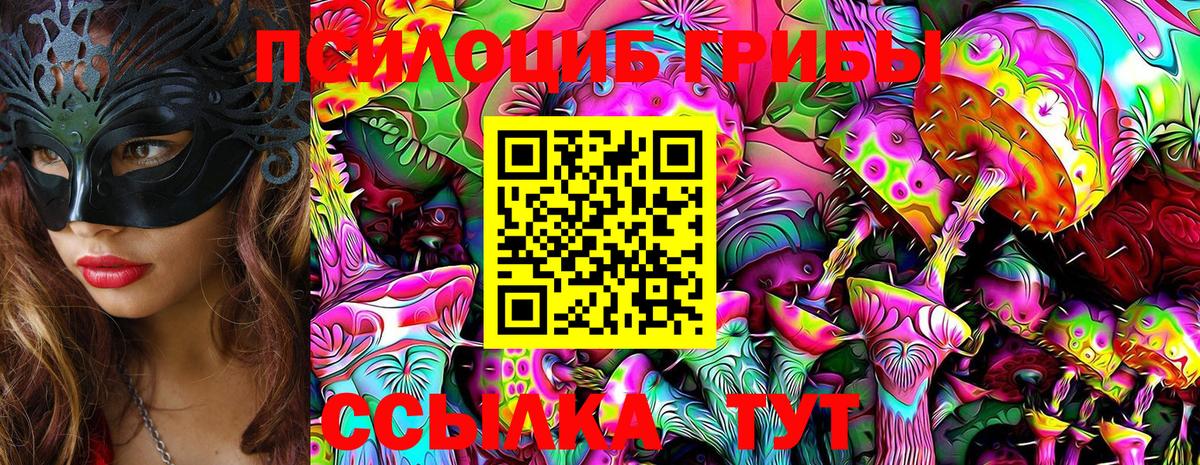 Новороссийск  купить   Вход с VPN  Галлюциногенные грибы Magic Shrooms 